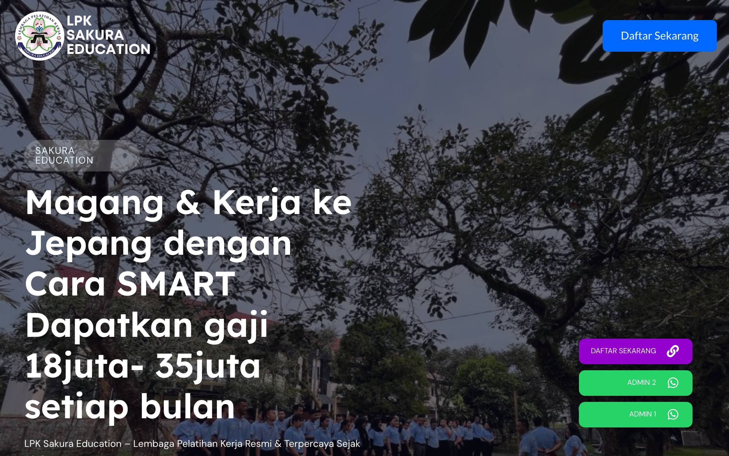 Tampilan situs Sakura Education